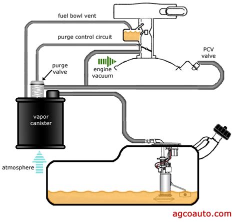 evap system|EVAP System 101: Basics for Every Driver